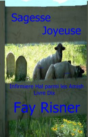 Kniha Sagesse Joyeuse: Infermiere Hal parmi les Amish Fay Risner
