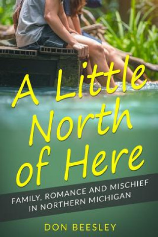 Libro A Little North of Here: Family, Romance and Mischief in Northern Michigan Don Beesley