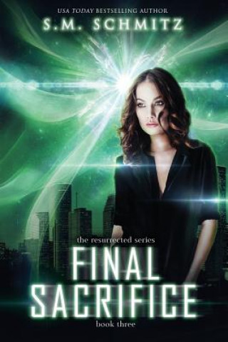Buch Final Sacrifice S M Schmitz
