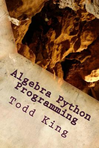 Kniha Algebra Python Programming Todd King