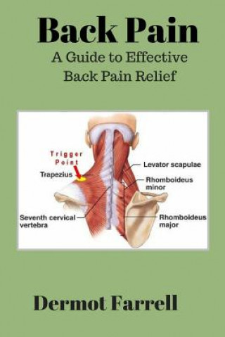 Kniha Back Pain: A Guide to Effective Back Pain Relief MR Dermot Farrell