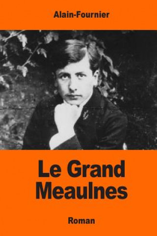 Kniha Le Grand Meaulnes Alain Fournier