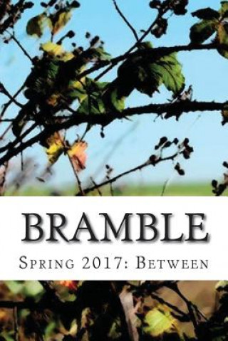 Knjiga Bramble: Spring 2017: Between Wisconsin Fellowship Of Poets