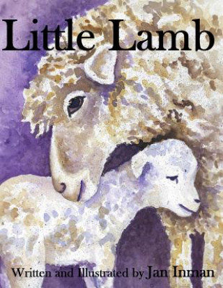 Kniha Little Lamb Jan E Inman