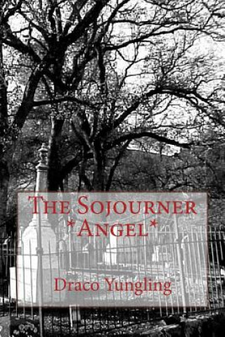 Knjiga The Sojourner *Angel* Draco Yungling