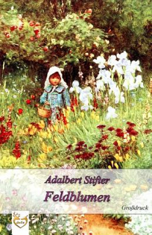 Könyv Feldblumen (Großdruck) Adalbert Stifter