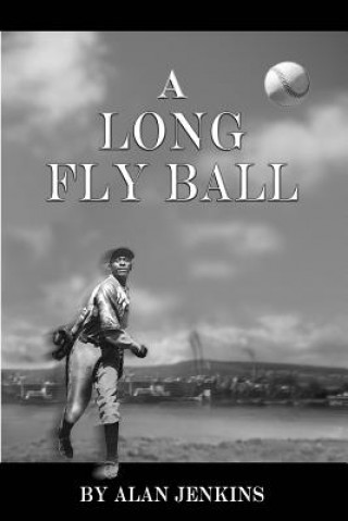 Kniha A Long Fly Ball Alan R Jenkins