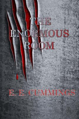 Buch The Enormous Room E E Cummings