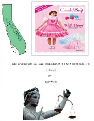 Βιβλίο What is wrong with Cal. Const. amend.chap.85.(Thes Terry Virgil