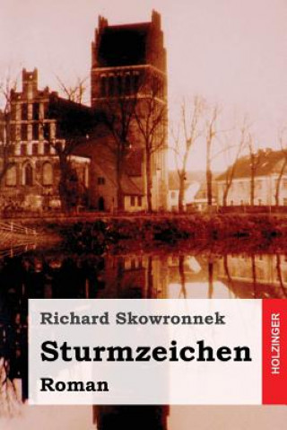 Knjiga Sturmzeichen: Roman Richard Skowronnek