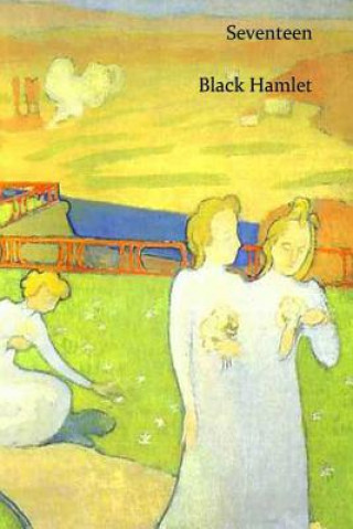 Book Seventeen Black Hamlet