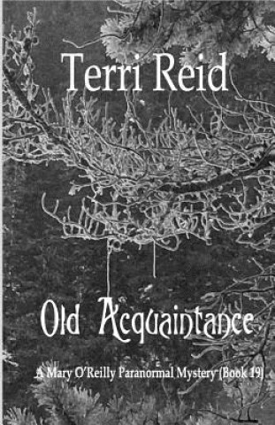 Buch Old Acquaintance Terri Reid