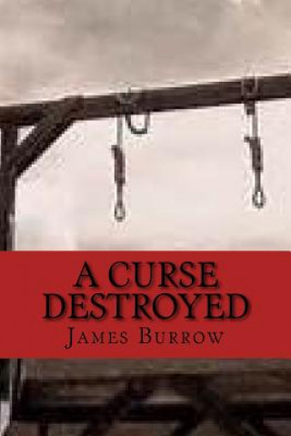 Buch A Curse Destroyed James Burrow