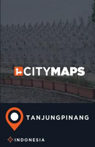 Könyv City Maps Tanjungpinang Indonesia James McFee