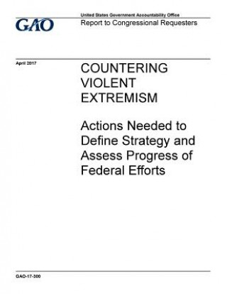 Libro Countering violent extremism, actions needed to define strategy and assess progress of federal efforts: report to congressional requesters U S Government Accountability Office