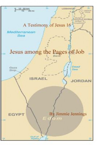 Carte A Testimony of Jesus 16: Jesus among the Pages of Job Jimmie Jennings