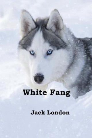 Carte White Fang Jack London