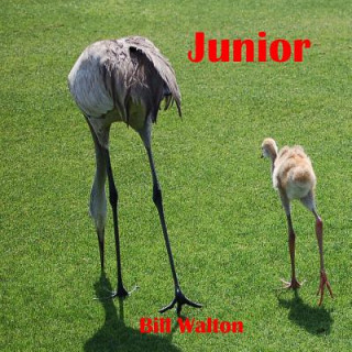 Buch Junior Bill Walton