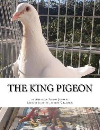 Książka The King Pigeon American Pigeon Journal