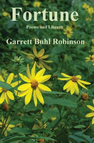 Buch Fortune Garrett Buhl Robinson