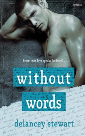 Book Without Words Delancey Stewart