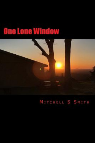 Buch One Lone Window MR Mitchell S Smith