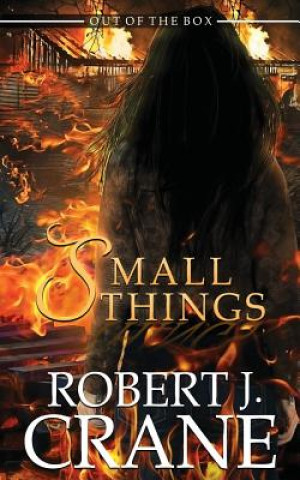 Buch Small Things Robert J Crane