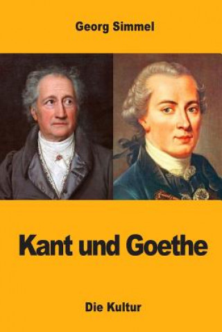 Carte Kant und Goethe Georg Simmel
