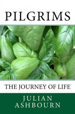 Książka Pilgrims: The Journey of Life Mr Julian Ashbourn Bsc