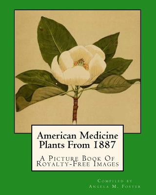 Könyv American Medicine Plants From 1887: A Picture Book Of Royalty-Free Images Angela M Foster