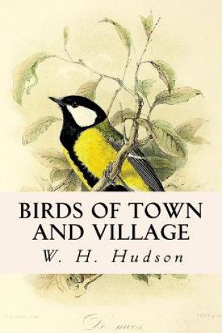 Książka Birds of Town and Village W H Hudson