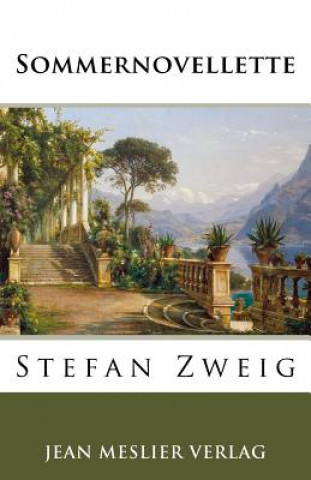 Libro Sommernovellette Stefan Zweig