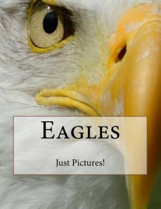 Книга Eagles Just Pictures!