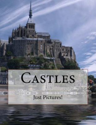 Book Castles Just Pictures!
