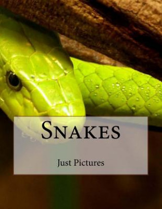 Kniha Snakes Just Pictures