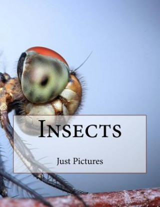 Knjiga Insects Just Pictures