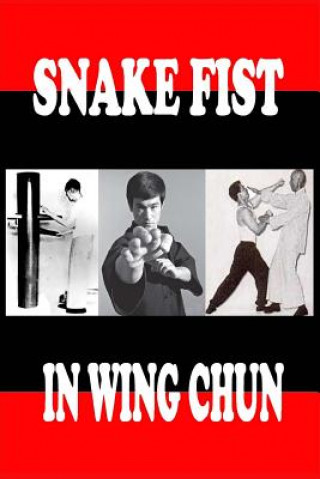 Книга Snake fist in wing chun Semyon Neskorodev