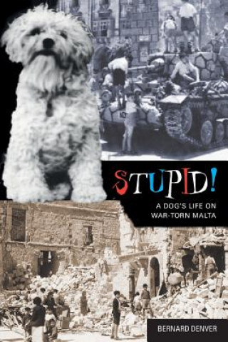 Knjiga Stupid Mr Bernard John Patrick Denver