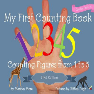 Könyv My First Counting Book: Counting Figures from 1 to 5 Marilyn More