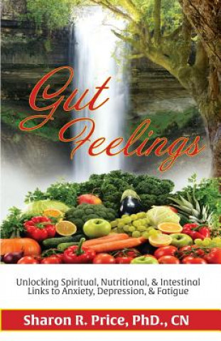 Könyv Gut Feelings: Unlocking Spiritual, Nutritional, & Intestinal Links to Anxiety, Depression, & Fatigue Dr Sharon Price Phd/Cn