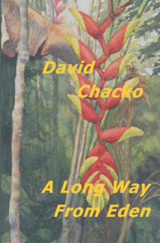 Könyv A Long Way From Eden David Chacko