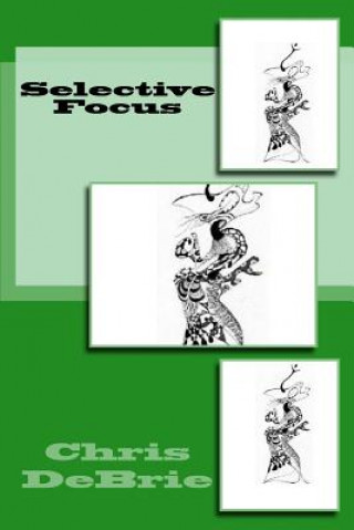 Boek Selective Focus Chris DeBrie