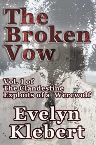 Book Broken Vow Evelyn Klebert