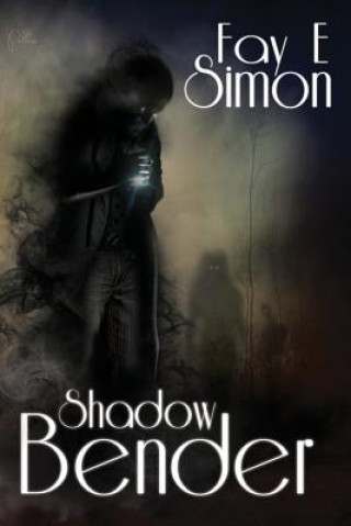 Книга Shadow Bender Fay E Simon