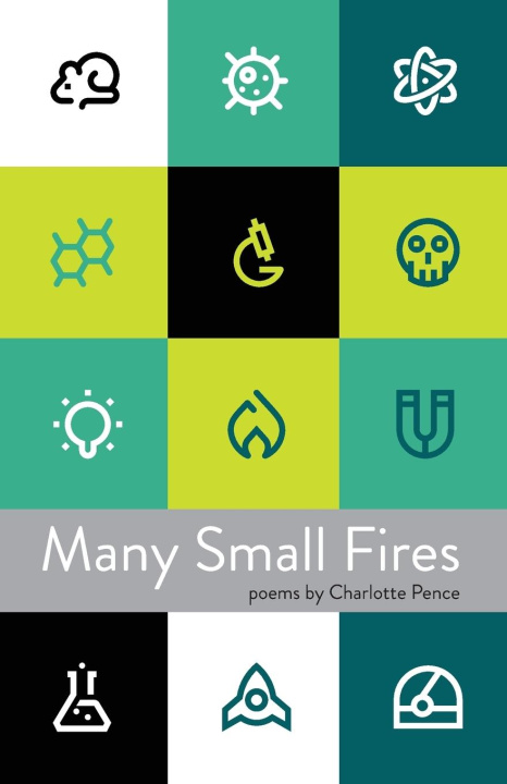 Knjiga Many Small Fires Charlotte Pence