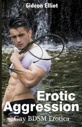 Könyv Erotic Aggression: Gay BDSM Erotica Gideon Elliot