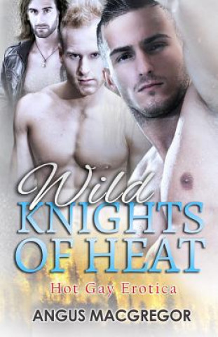 Kniha Wild Knights of Heat: Hot Gay Erotica Angus MacGregor