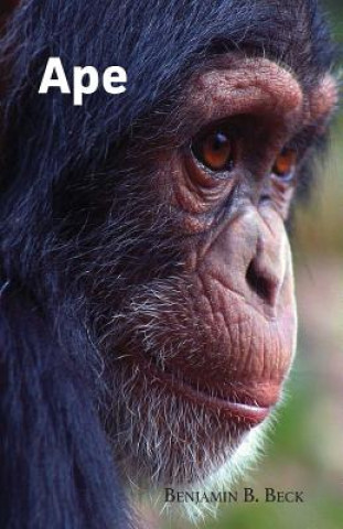 Carte Ape Benjamin B Beck