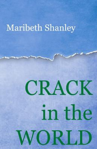 Книга Crack in the World Maribeth Shanley