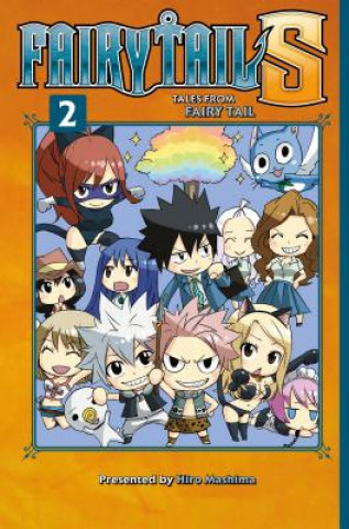 Carte Fairy Tail S Volume 2 Hiro Mashima